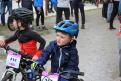 POUSSINS 2022 001