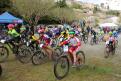 PUPILLES 2022 010