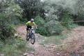 IMG 1081