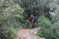 IMG 1082