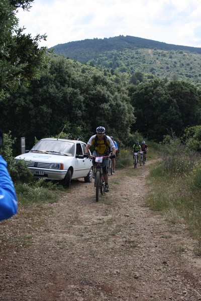 CapNore331